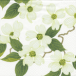 White Blossom Paper Luncheon Napkins, 20 Per Pack