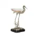 Coastal Bird