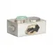 Caribbean Gold Rectangular Jewelry Box