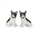 Gypsy Black/White Dog Pair
