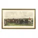 Fores Racing Ret/Weig Hand Colored Engraving