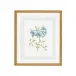 Blue Floral W/Ribbon C Hand Colored Engraving