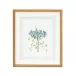 Blue Floral W/Ribbon D Hand Colored Engraving
