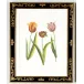 Tulip Decorative Frame(988) Lithograph Print