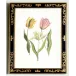 Tulip in Decorative Frame(991) Lithograph Print