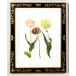 Tulip/Dec. Frame (985) Lithograph