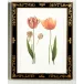 Tulip/Decorative Frame(989) Lithograph Print