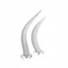 Horns White, Set of 2