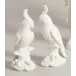 Cockatoos White Pair