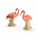 Ibis Pair Red