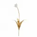 Tulip Stem Medium