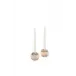 Nassa Shell Candleholder Pair