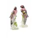 Large Kenya Parrots Pair