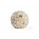 Shell Ball Large