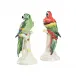 Large Parrots with Cherries Pair