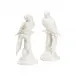 Large Parrots With Cherries Pair White