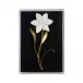 Porcelain Flower Black A