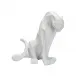 Cat White
