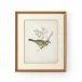 Delicate Birds V Giclee Print