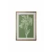 Tableau In Sage II