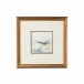 Sand Piper IV