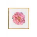 Blossomed Peony II