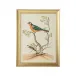 Watercolor Birds B
