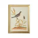 Watercolor Birds C