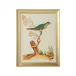 Watercolor Birds E