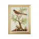 Watercolor Birds F