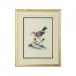 Cain Birds D