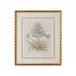 Besler Botanicals in Willow Blue II