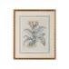 Besler Botanicals in Willow Blue III