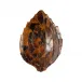 Penshell Sconce