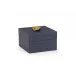 Leaf Box Navy