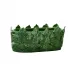 Fig Leaf Planter