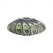 Ashanti Vase