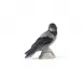 Blue Collectibles Christmas Plate Crow Figurine 2025 10.5 cm