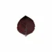 Riviera Vigne Hydrangea Leaf 6.75'' x 6'' H1.25''