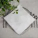 Provence, Off White, Fringe 22" Square Napkin