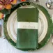 Washed Linen, Evergreen 20" Square Napkin Set