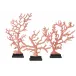 Red Coral Branches Large Set of 3