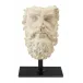 Head of Zeus