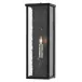 Tanzy Small Outdoor Wall Sconce