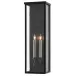 Tanzy Medium Outdoor Wall Sconce