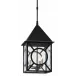 Ripley Large Outdoor Lantern Pendant