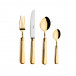 Piccadilly Gold Polished 24 pc Set (6x Dinner Knives, Dinner Forks, Table Spoons, Coffee/Tea Spoons)