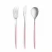 Mio Steel Pink Handle/Steel Matte 5 pc Set (Dinner Knife, Dinner Fork, Table Spoon, Dessert Fork, Dessert Spoon)