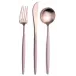 Goa Rose Pink Handle/Gold Matte 24 pc Set (6x Dinner Knives, Dinner Forks, Table Spoons, Coffee/Tea Spoons)