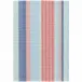 Aruba Stripe Woven Cotton Rug 6' x 9'